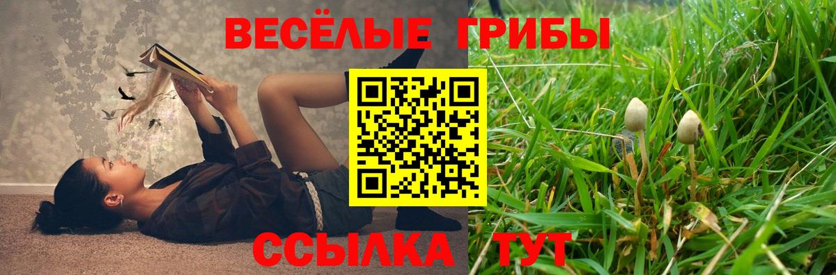 Псилоцибиновые грибы Psilocybe Люберцы