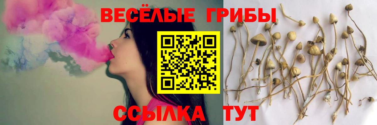 Галлюциногенные грибы Psilocybe  Вход с VPN  Люберцы 